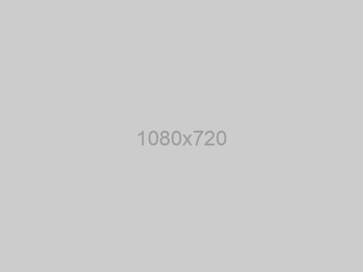 Seo Project